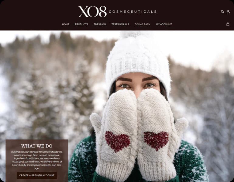 Shopify Store Design